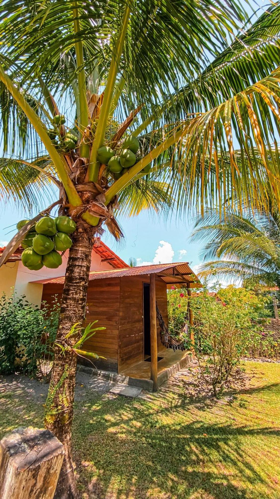Family Guest House Velha Boipeba Esterno foto